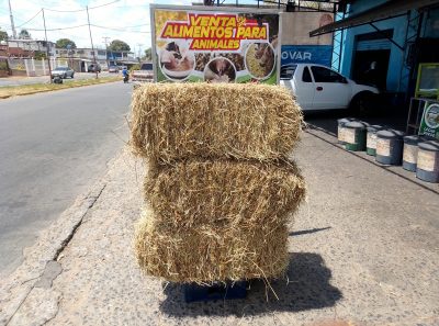 Agropecuaria la Talanquera